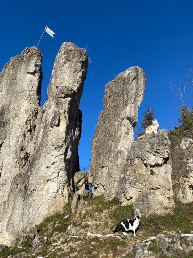 Gasthof Zur Saegemuehle Hiltpoltstein Ngoại thất bức ảnh