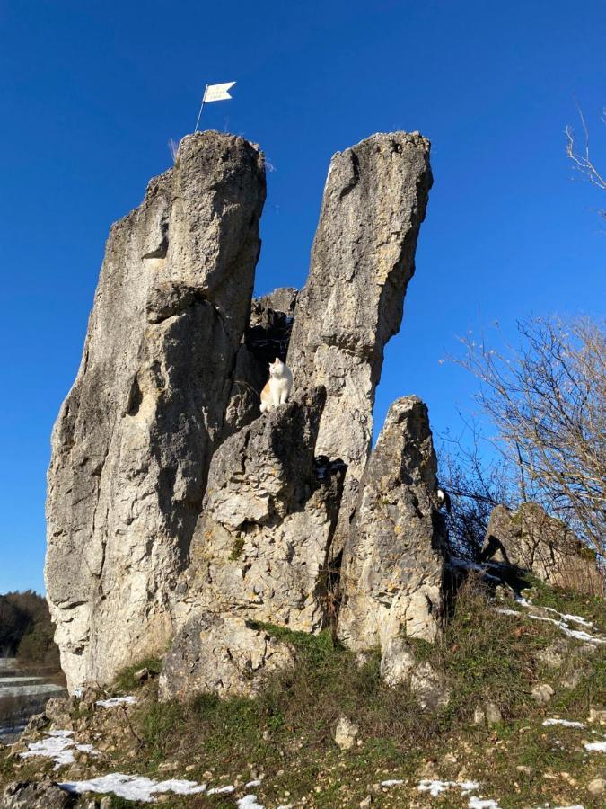 Gasthof Zur Saegemuehle Hiltpoltstein Ngoại thất bức ảnh